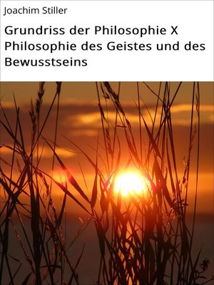 cover image of Grundriss der Philosophie X Philosophie des Geistes und des Bewusstseins